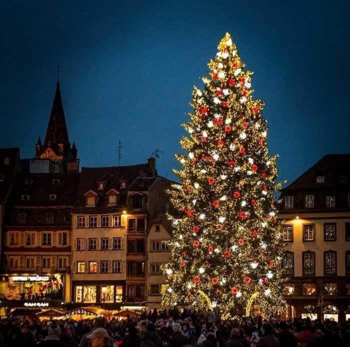 Gites Spa Strasbourg - La Villa 14 Furdenheim Dış mekan fotoğraf